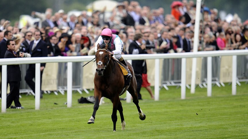 Frankel was to have set the scene. Instead he issued the standard.