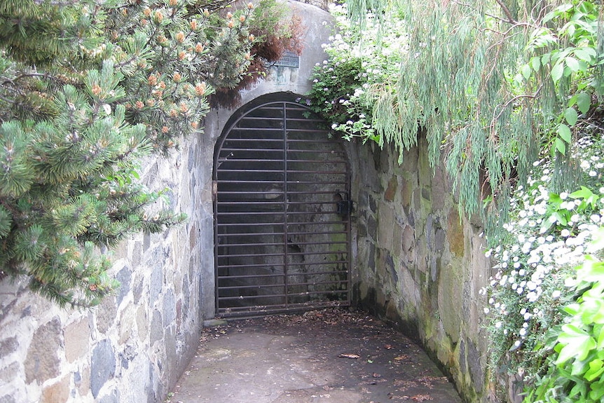 Photo of tunnel entrance.