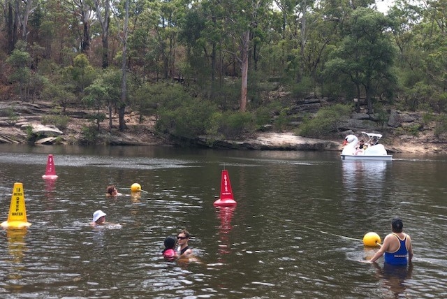 Children play in a shallow swimming spot along a river.