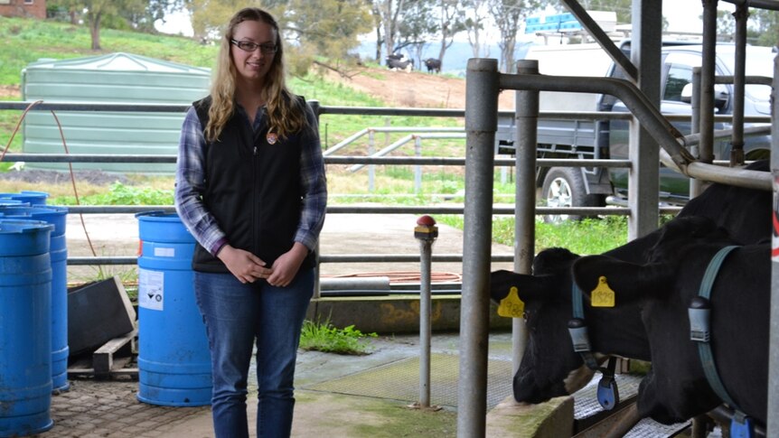 PhD candidate Ashleigh Wildridge in a robotic dairy.