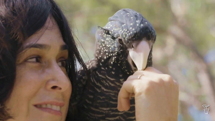 Woman with black cockaoo on her shoulder.