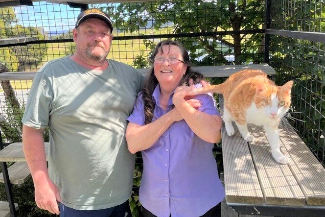 A man in a cap and a woman stand in a caged area with a ginger cat