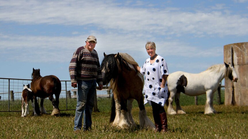 Man and woman standing in a paddock with horses