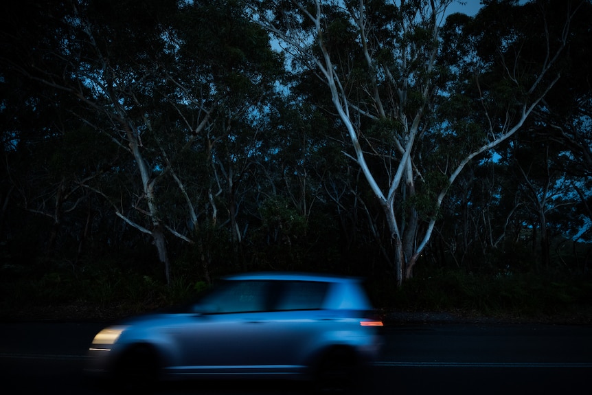 Car driving in the night