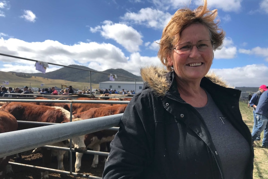 A woman stands in front of a pen of Hereford cattle.