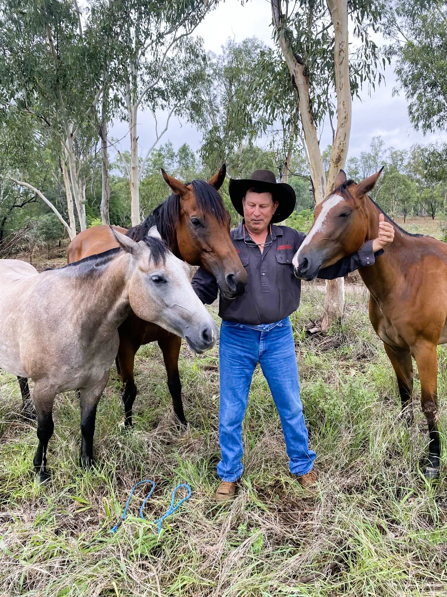 Um homem está no meio de três cavalos, cercando-os com os braços.