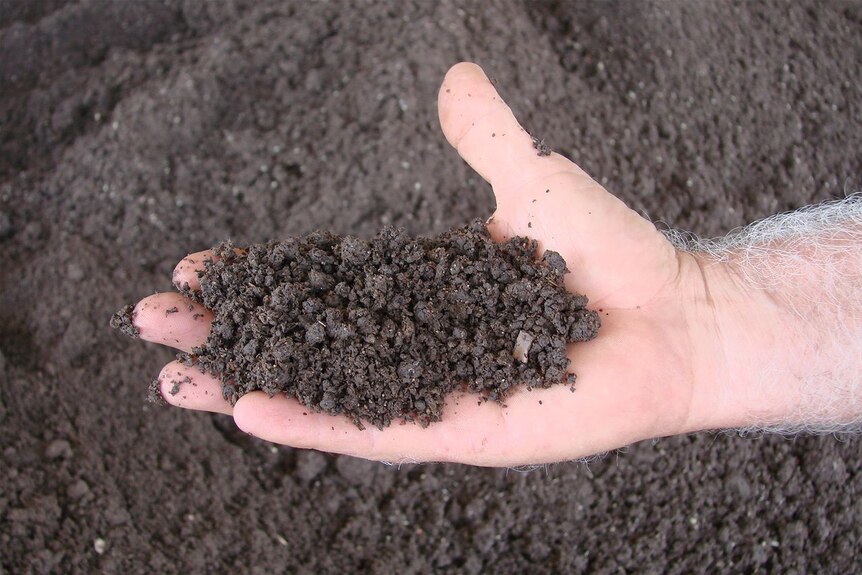 A man holding a handful of chicken manure