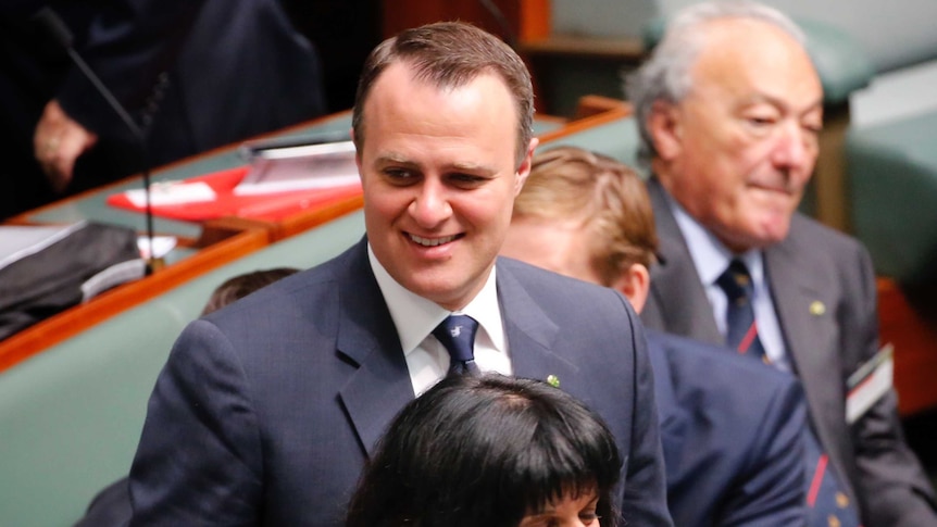 Federal Goldstein MP Tim Wilson