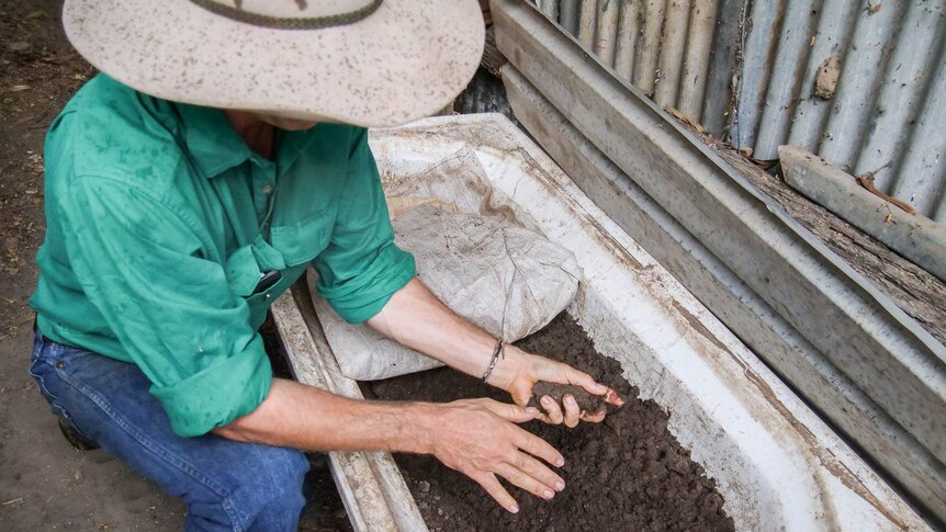 A man kneels holding a handful of manure over a bathtub.