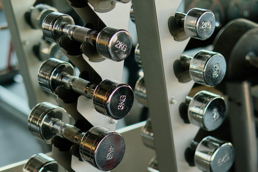 Two rows of silver barbell weights are seen in front of a mirror in what appears to be a gym.