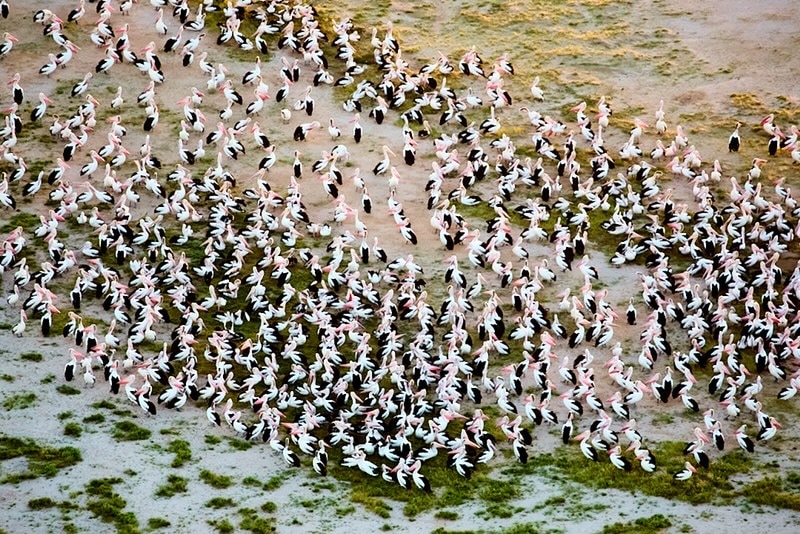 Kati-Thanda Lake Eyre is filling up - but will tourists have fuel to get there?