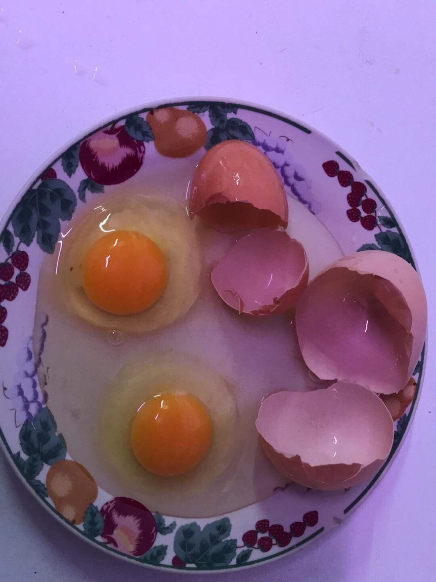 Two cracked egg shells with the egg joke and whites on a plate