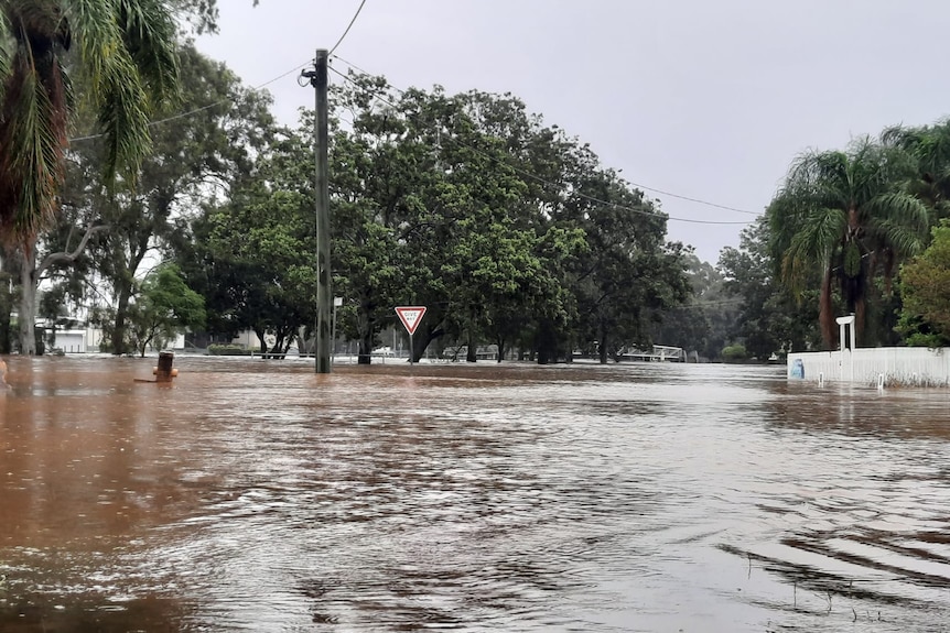 Flooded houses and trees in a street in Laidley.