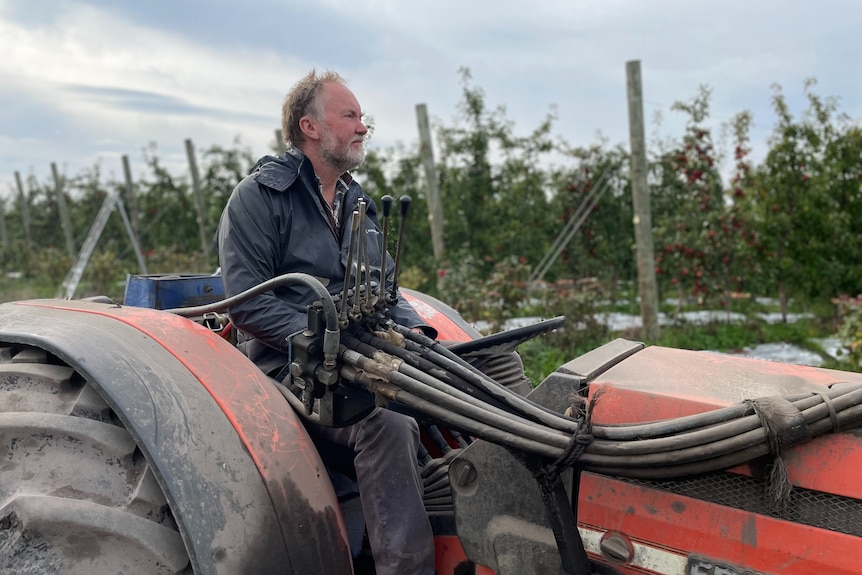 A bearded man on a tractor in front of an apple orchard looks into the distance