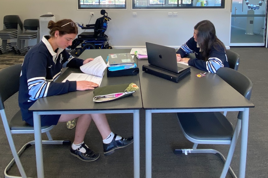 Two students sitting at a table studying.