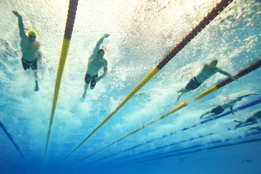 Swimmers seen from below