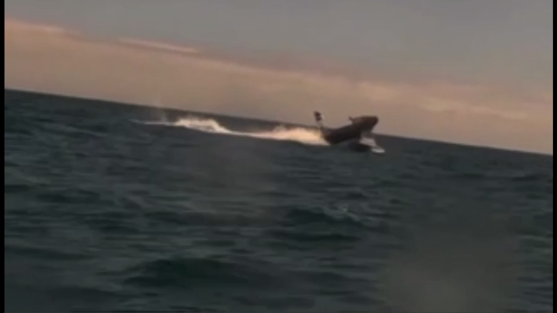 路透社：中国考虑推出人民币稳定币- ABC News