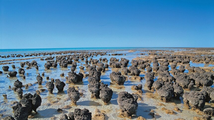 Grey spherical rocks sit in the sand next to blue ocean