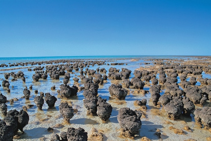 Grey spherical rocks sit in the sand next to blue ocean.