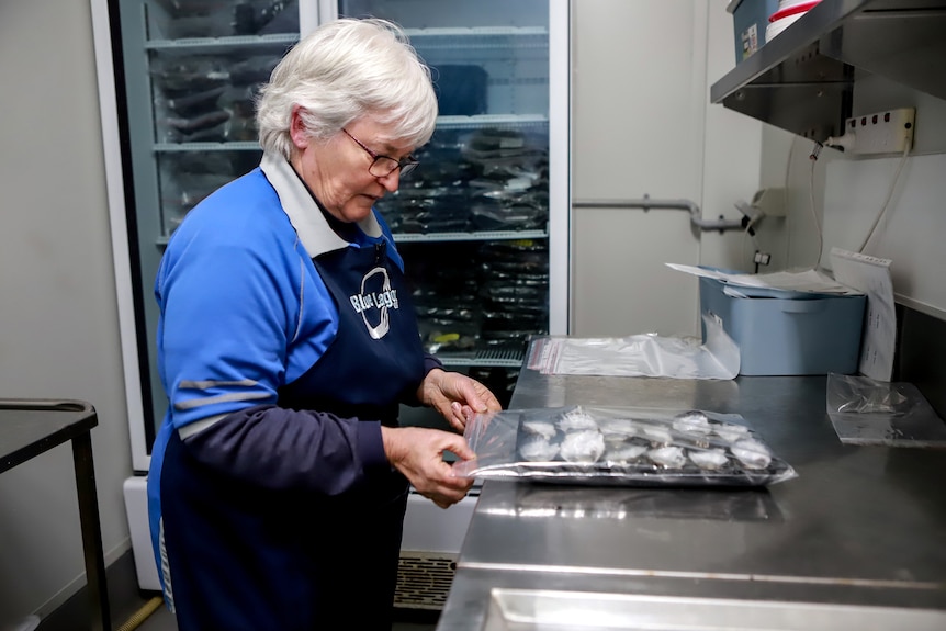 Woman with white hair wearing navy blue apron and blue shirt seals plastic bag of oysters in cool room