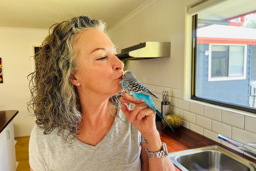 A woman in a grey shirt kissing a blue budgie while standing in a kitchen