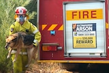 Firefighter carries out dog from Perth Hills bushfire