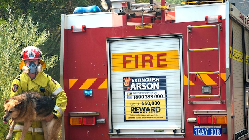 Firefighter carries out dog from Perth Hills bushfire