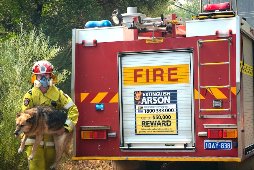 Firefighter carries out dog from Perth Hills bushfire