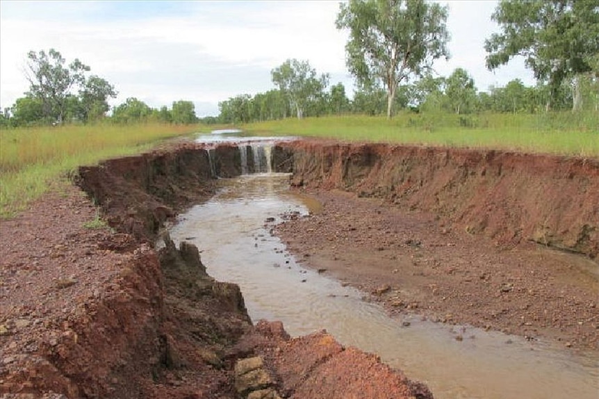 A massive hole with pools of water in a dirt road