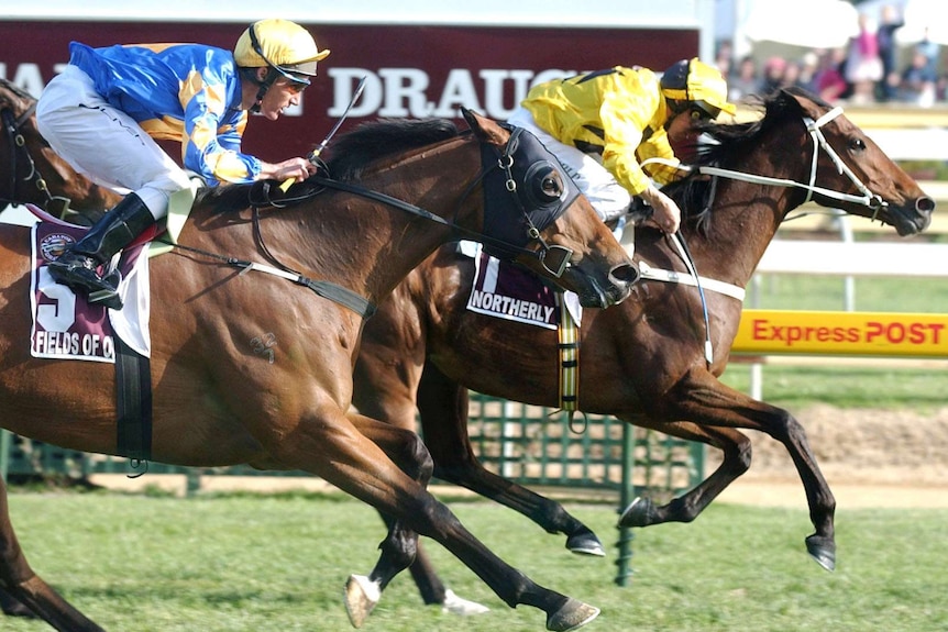 Greg Childs rides Northerly to victory in the 2002 Caulfield Cup over Fields of Omagh.