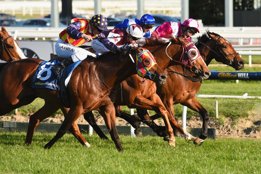 Stratum Star wins close finish to Sir Rupert Clarke Stakes