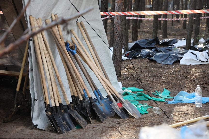 A large number of shovels resting against a wall