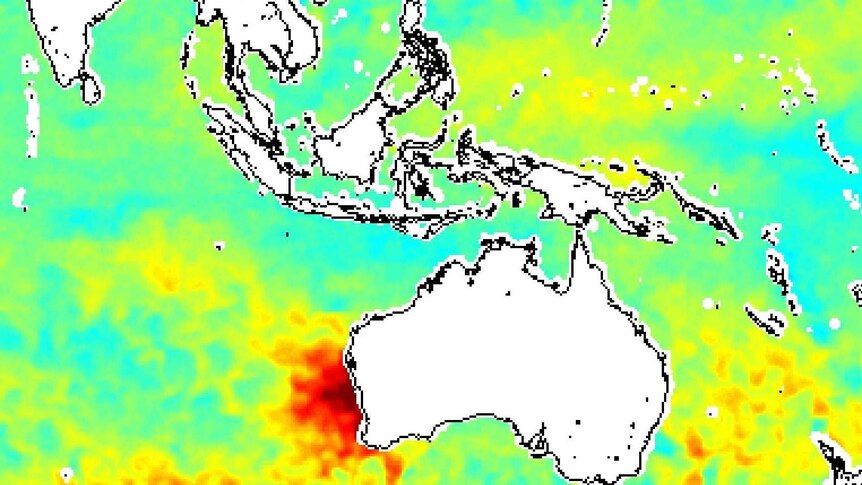 The waters off WA's Mid West coast heated up during 2010/2011 as part of the Ningaloo Nino