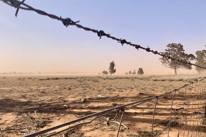 Looking through a barbed wire fence to desolate paddocks as trees are pummelled by wind. Dust haze on horizon paints out the sky