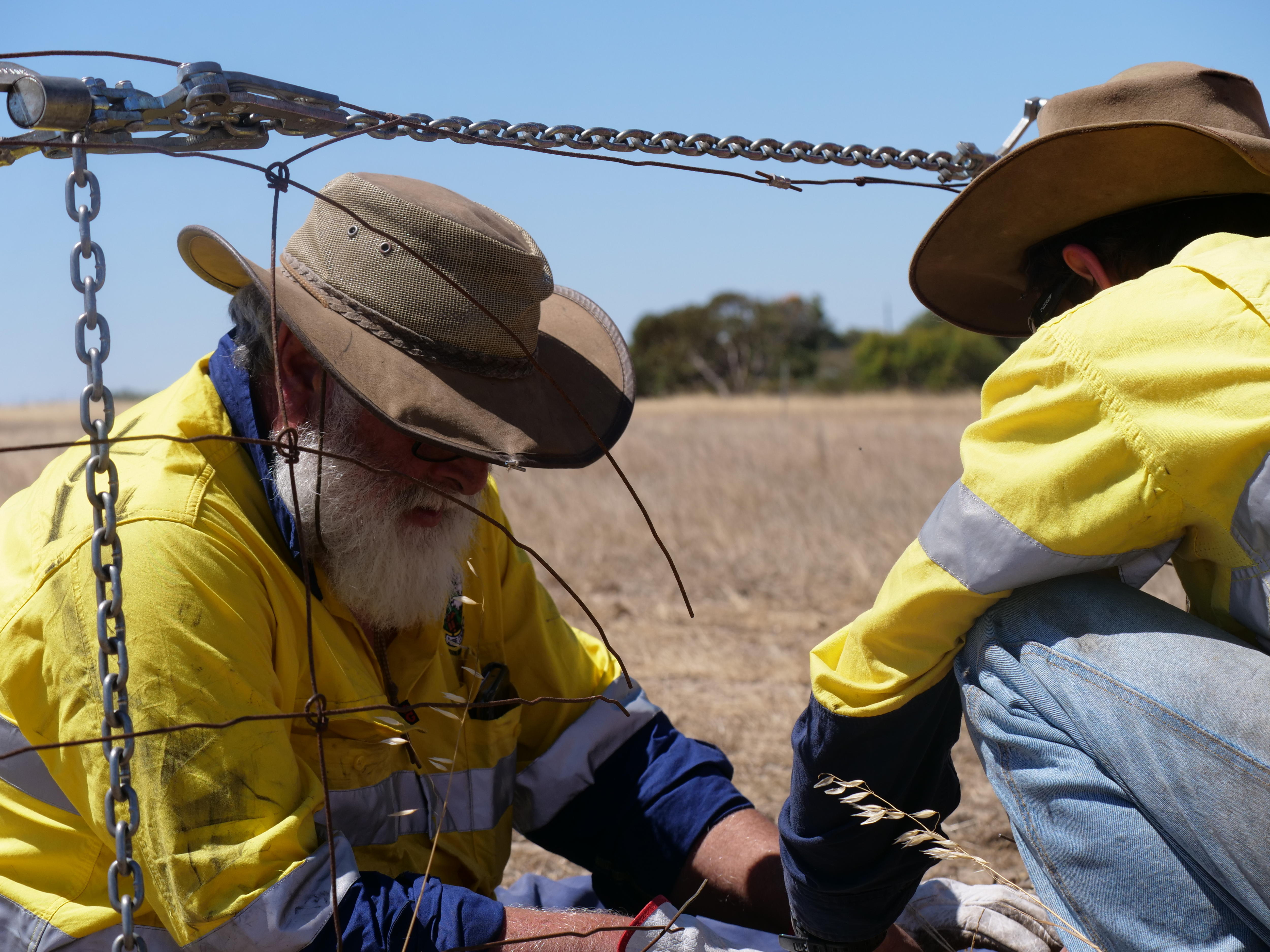 Agricultores consertando cercas em um prado.