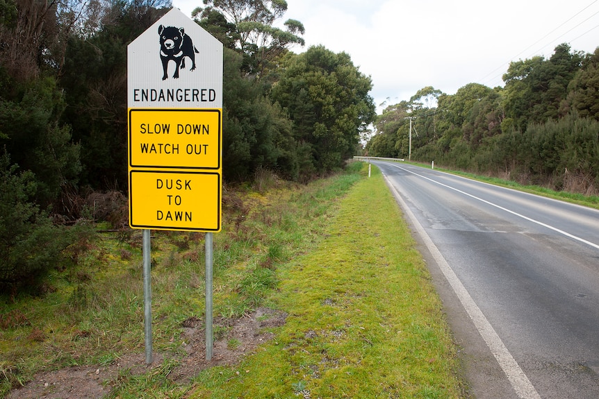 Road signs on the side of a country road warn drivers to slow down dusk to dawn