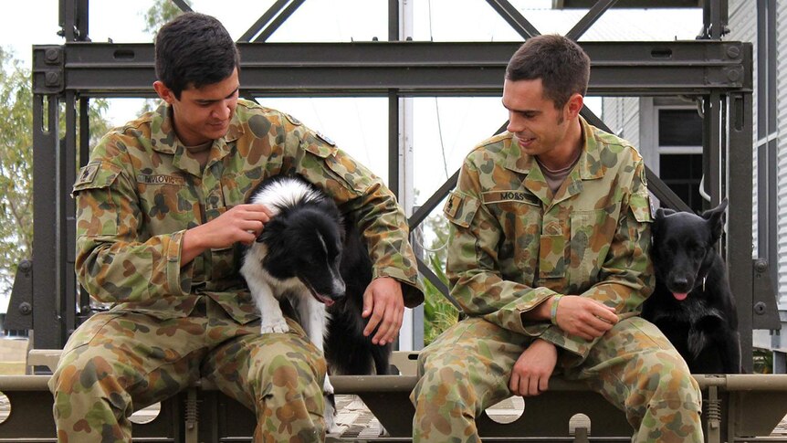 Explosive detection dogs Cody (left) with Sapper Ivan Pavlovic and Flo Joe with her handler, Sapper Ian Moss.