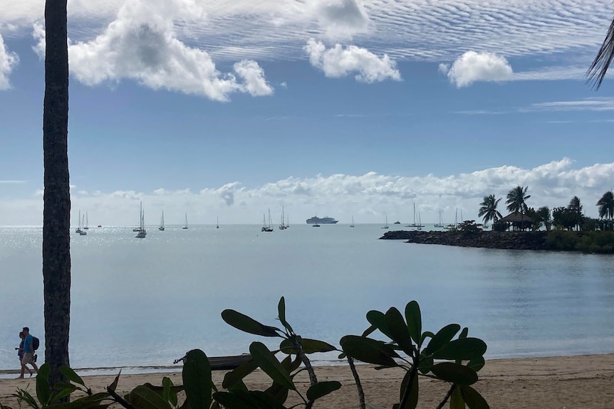 Boats are pictured on the horizon of a still ocean with shadowed plants in the foreground. 