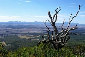 The view from the Porongurups, looking across to the Stirling Ranges