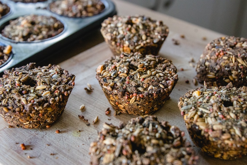 Baked blocks of seeds and grains in the shape of muffin tins.