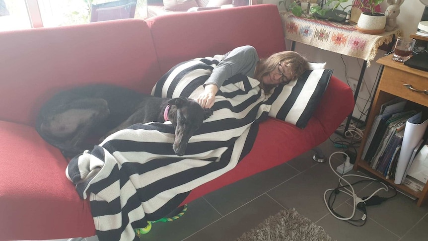 A woman covered in a blanket lies on a couch with a curled up greyhound.