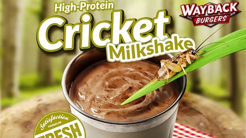 Advertisement showing a cricket on a leaf above a chocolate milkshake.