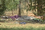 Homeless people set up home in south parklands