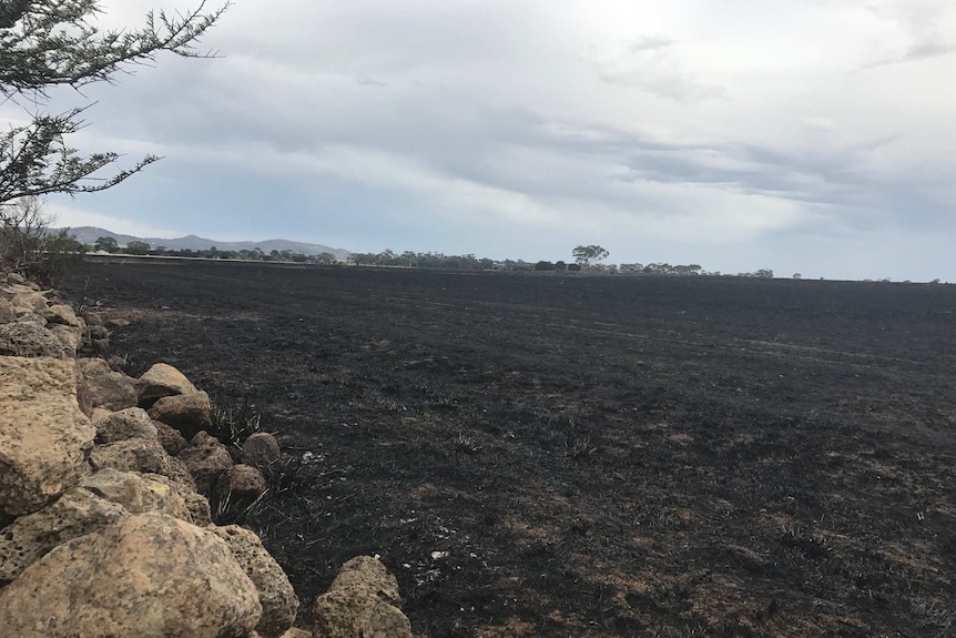 Burnt paddocks stretch into the distance in front of a sloping mountain range.