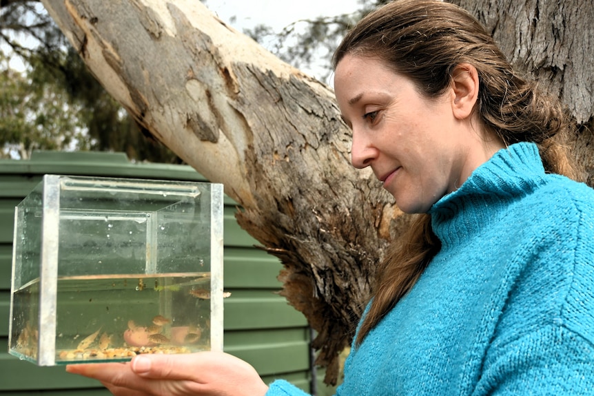 A woman holds a small aquarium containing several fish