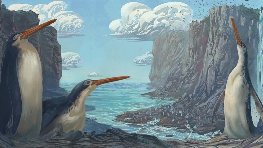 Artist impression of giant penguin