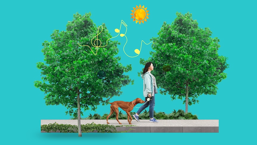 Drawing of a lady and a dog on a walk amongst trees, with musical notes around them.