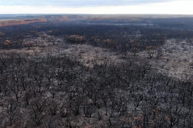 Drone images show acres of land blackened by bushfires.