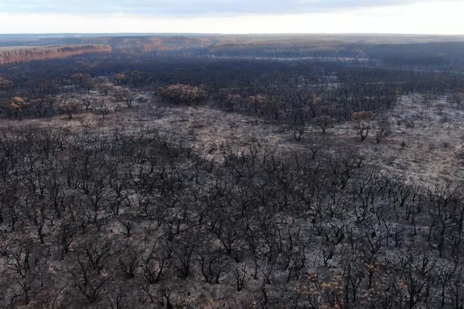 Drone images show acres of land blackened by bushfires