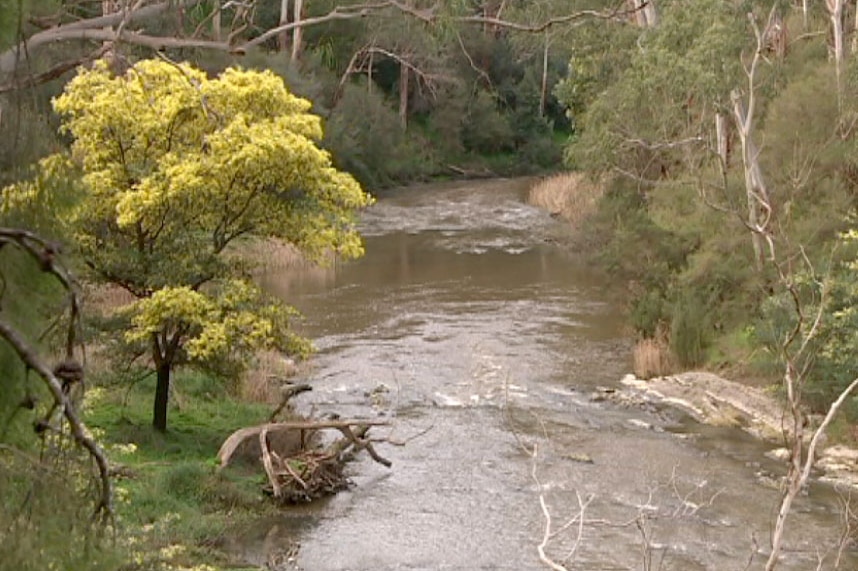 Yarra River at Warrandyte